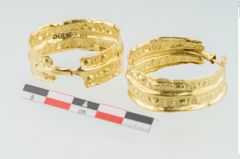 Foto von Goldkopfschmuckringe (NHMW-PRAE-026830)